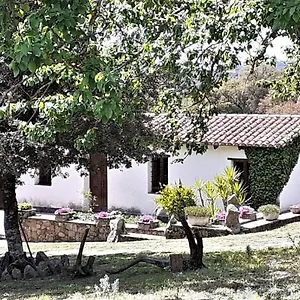 I Menhir Sorgono